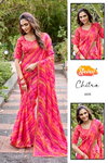 Chitra By Stavan Chiffon Embroidery Work Saree